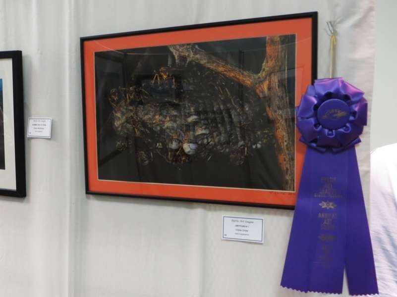 Photography - Best In Show
