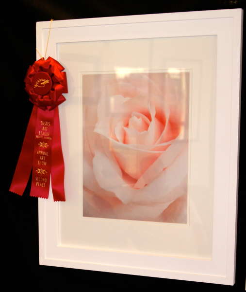 2nd place - Photography